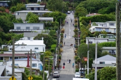 neuseeland sudinsel copyright piotr nogal 247