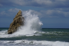 neuseeland sudinsel copyright piotr nogal 251