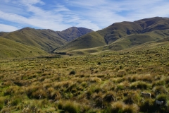 neuseeland sudinsel copyright piotr nogal 254