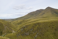 neuseeland sudinsel copyright piotr nogal 261
