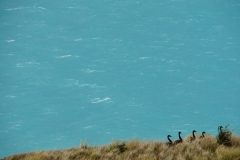 neuseeland sudinsel copyright piotr nogal 285