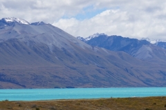 neuseeland sudinsel copyright piotr nogal 297