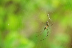 taiwan copyright piotr nogal 092