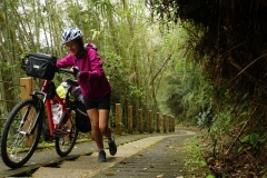 taiwan copyright piotr nogal 119