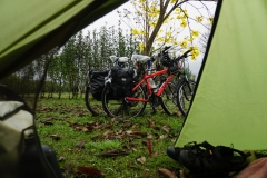 taiwan copyright piotr nogal 121