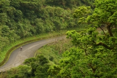 taiwan copyright piotr nogal 227