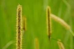 taiwan copyright piotr nogal 239