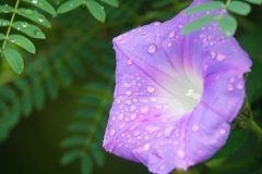 taiwan copyright piotr nogal 241