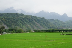 taiwan copyright piotr nogal 244