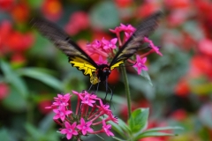 taiwan copyright piotr nogal 255
