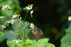 taiwan copyright piotr nogal 257