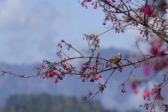 taiwan copyright piotr nogal 279