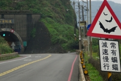 taiwan copyright piotr nogal 320