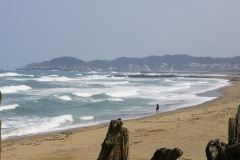 taiwan copyright piotr nogal 330