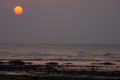 taiwan copyright piotr nogal 335
