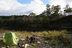 tasmanien 042 copyright piotr nogal
