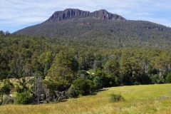 tasmanien 056 copyright piotr nogal