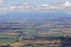 tasmanien 059 copyright piotr nogal