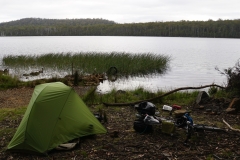 tasmanien 075 copyright piotr nogal