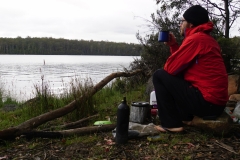 tasmanien 076 copyright piotr nogal