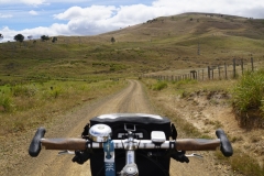 tasmanien 081 copyright piotr nogal