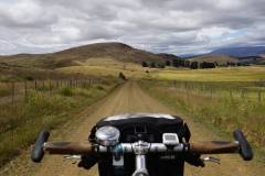 tasmanien 082 copyright piotr nogal