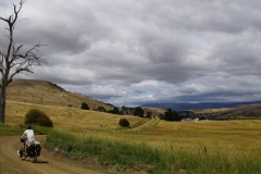 tasmanien 084 copyright piotr nogal