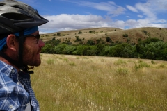 tasmanien 088 copyright piotr nogal