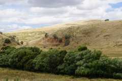 tasmanien 090 copyright piotr nogal