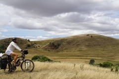 tasmanien 091 copyright piotr nogal