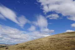 tasmanien 093 copyright piotr nogal