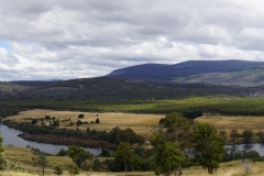 tasmanien 094 copyright piotr nogal