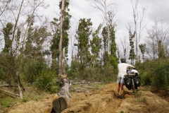 tasmanien 097 copyright piotr nogal
