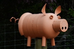 tasmanien 104 copyright piotr nogal