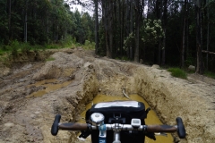 tasmanien 105 copyright piotr nogal