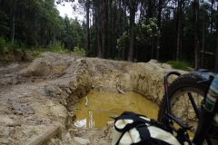 tasmanien 106 copyright piotr nogal