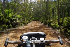 tasmanien 107 copyright piotr nogal