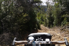 tasmanien 109 copyright piotr nogal