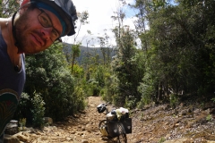 tasmanien 110 copyright piotr nogal