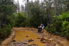 tasmanien 111 copyright piotr nogal