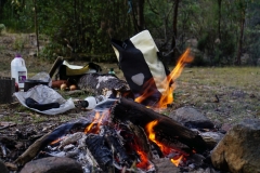 tasmanien 114 copyright piotr nogal