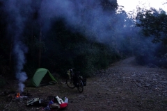 tasmanien 116 copyright piotr nogal