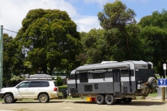 tasmanien 117 copyright piotr nogal