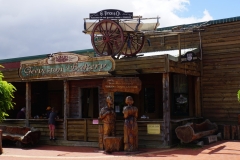 tasmanien 118 copyright piotr nogal