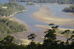 tasmanien 122 copyright piotr nogal