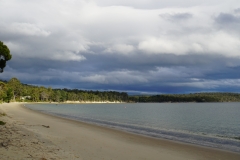 tasmanien 123 copyright piotr nogal