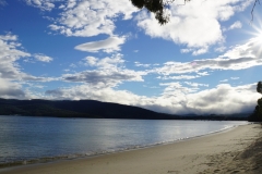 tasmanien 124 copyright piotr nogal