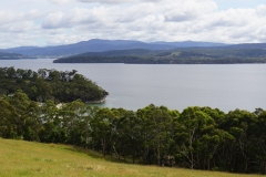 tasmanien 127 copyright piotr nogal