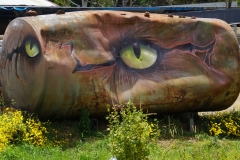 tasmanien 131 copyright piotr nogal