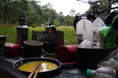 tasmanien 135 copyright piotr nogal